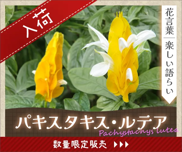 花屋さんバナー
